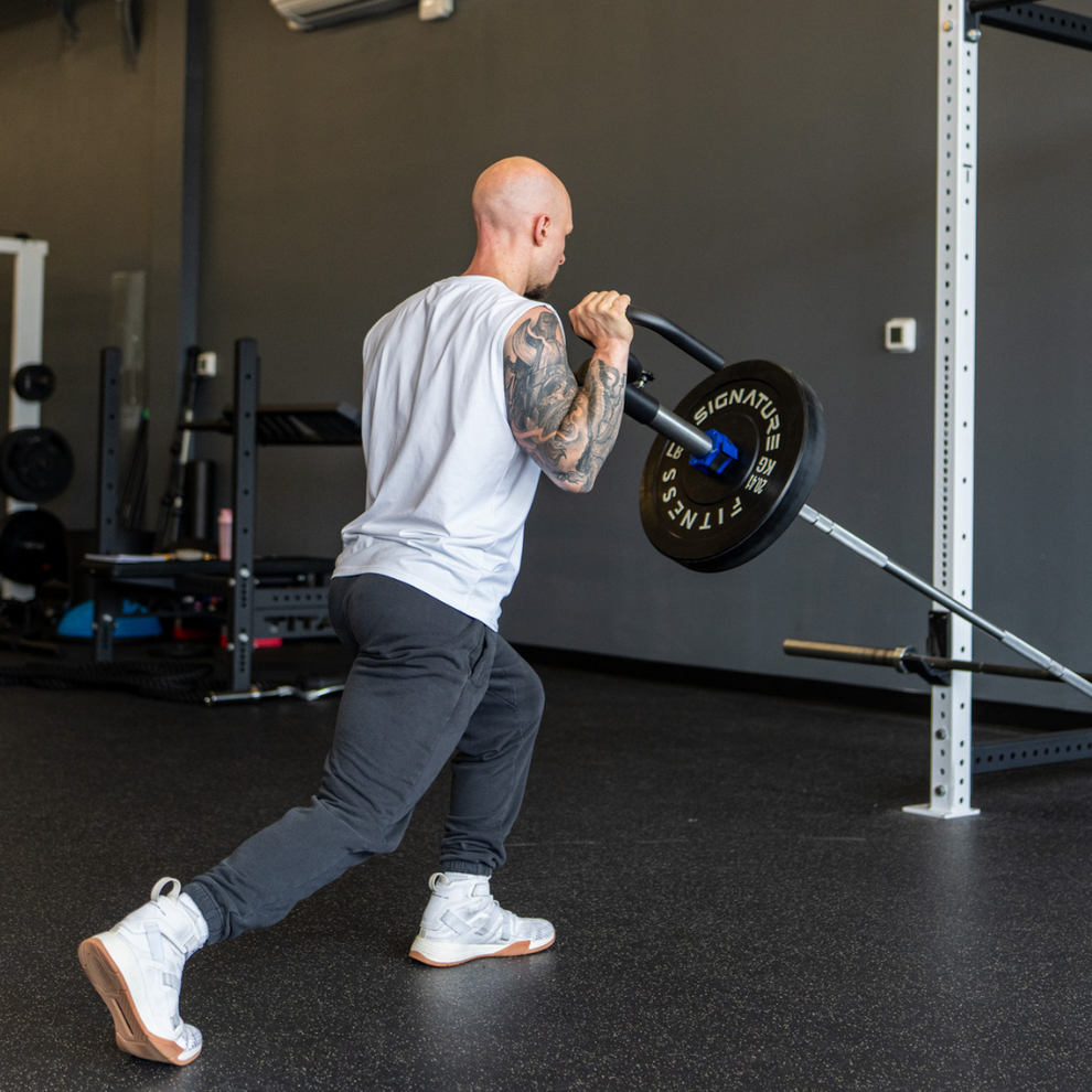 Viking Press Landmine Attachment – Uclips